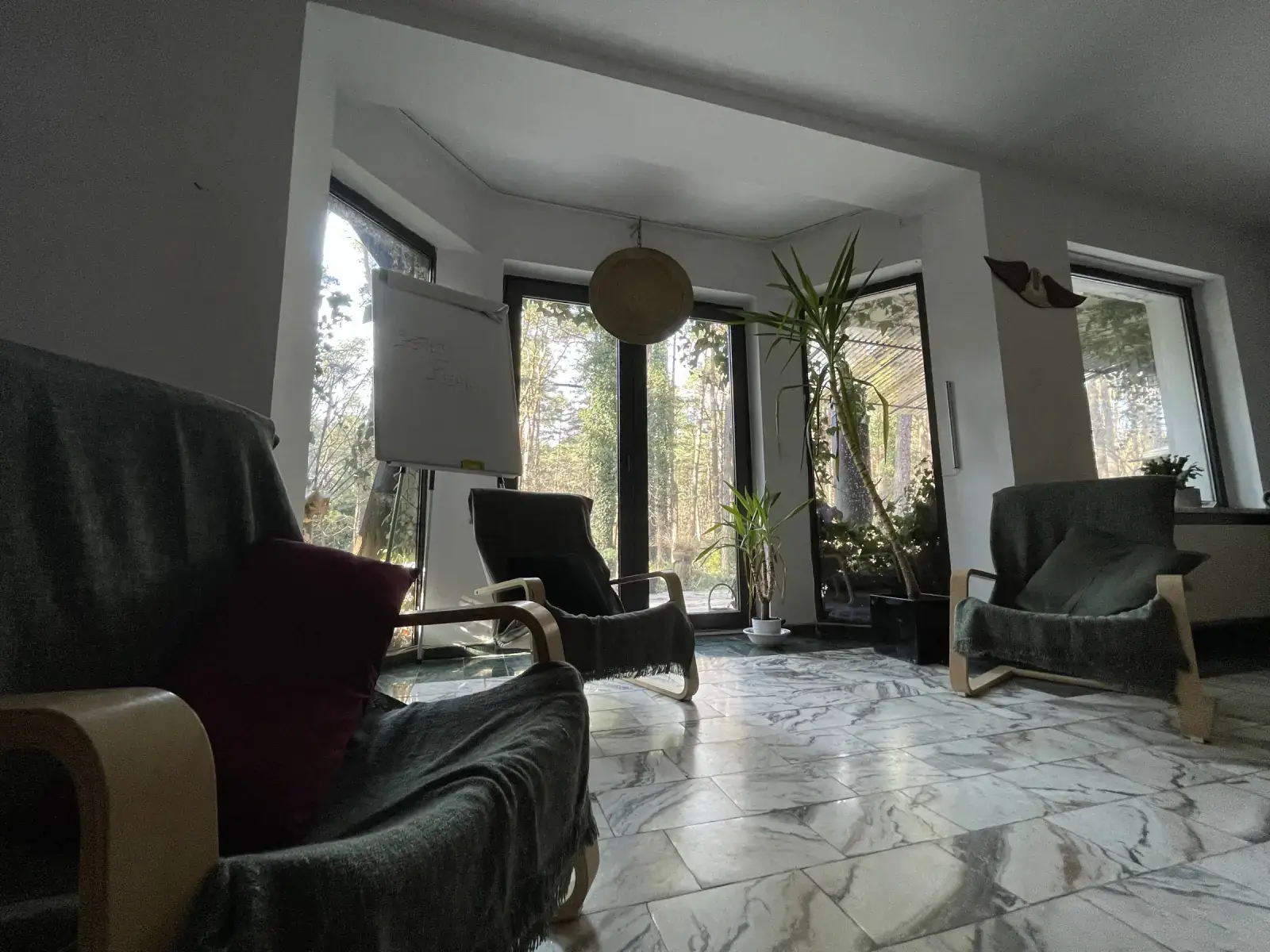 Salon z fotelami i widokiem na las